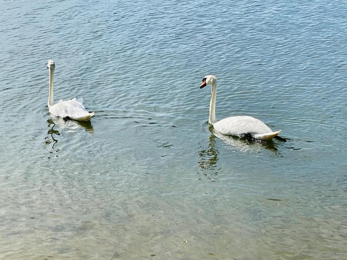 Moderne Ferienwohnung Am Rothsee Hilpoltstein Zewnętrze zdjęcie